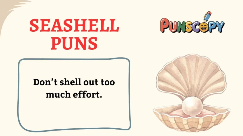 Seashell Puns