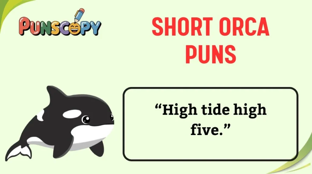 Short Orca Puns