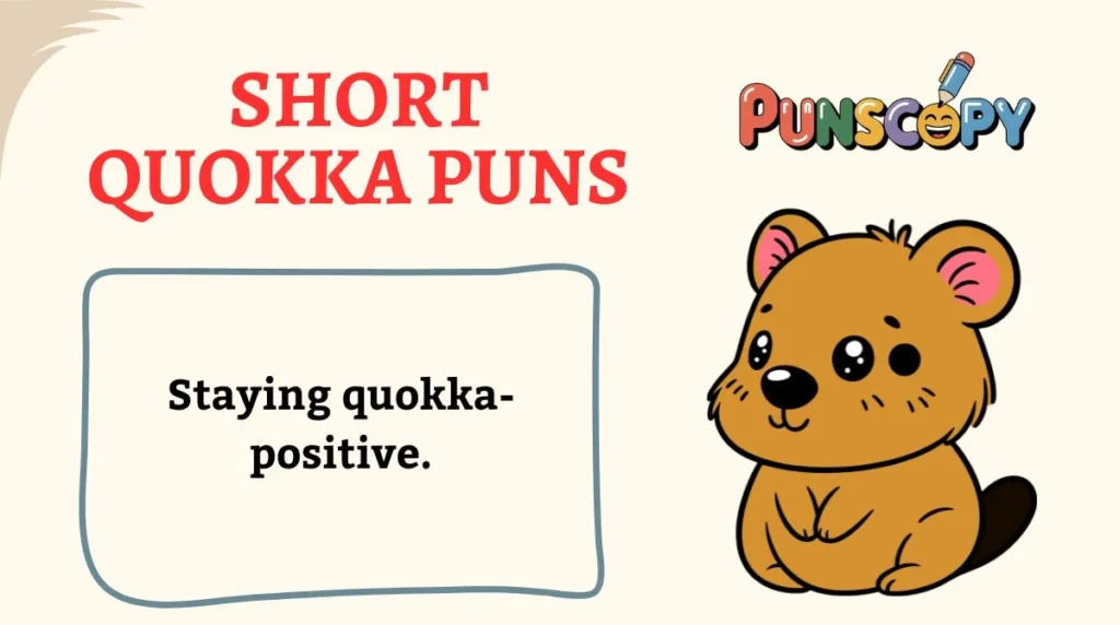 Short Quokka Puns