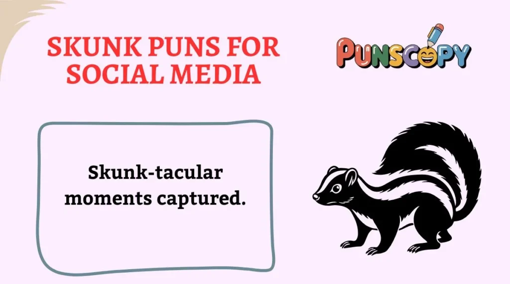 Skunk Puns for Social Media