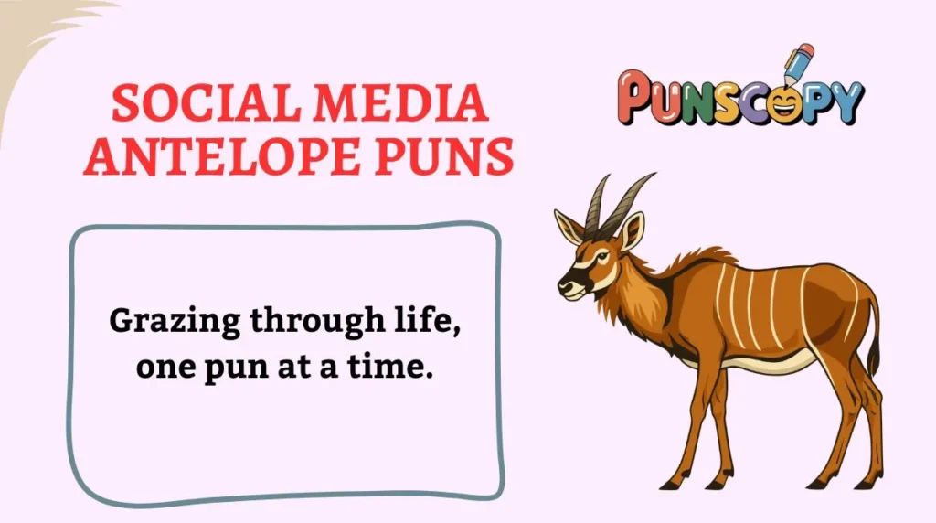 Social Media Antelope Puns