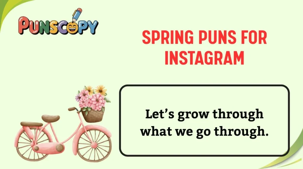 Spring Puns for Instagram