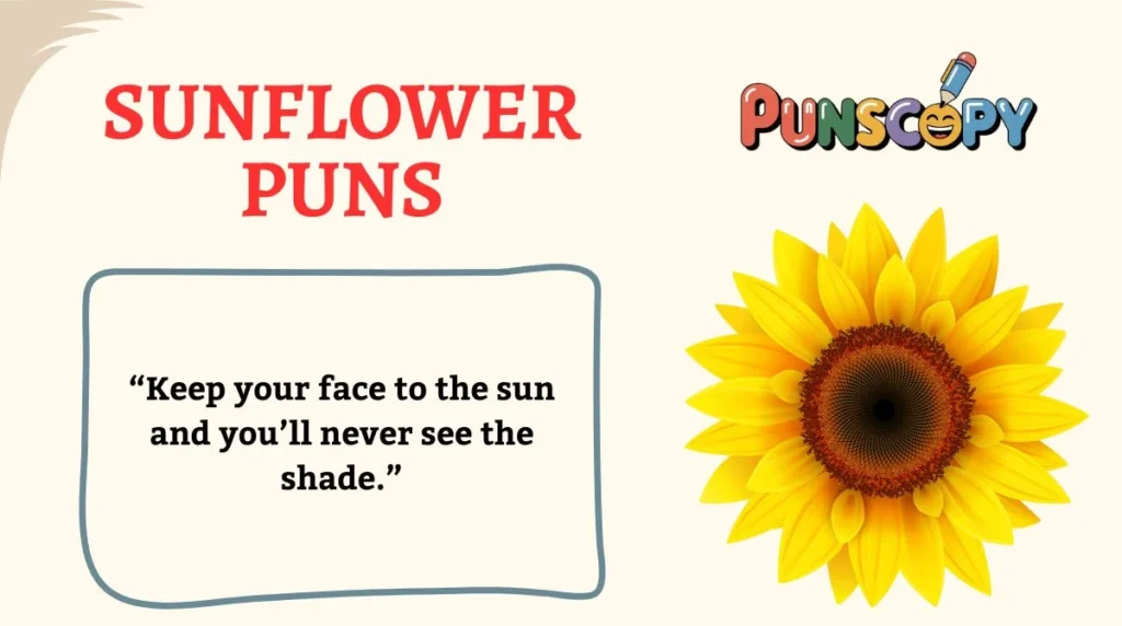 Sunflower Puns