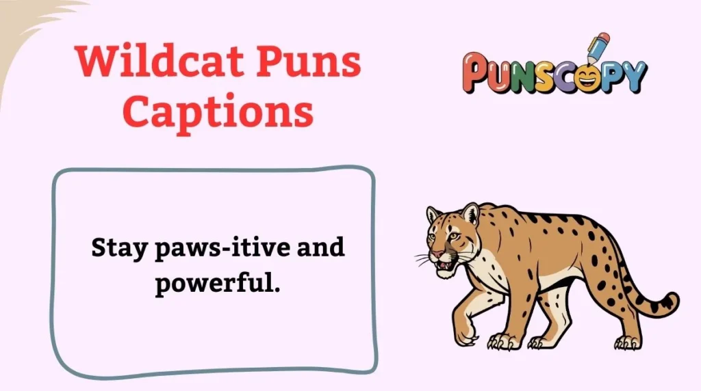 Wildcat Puns Captions