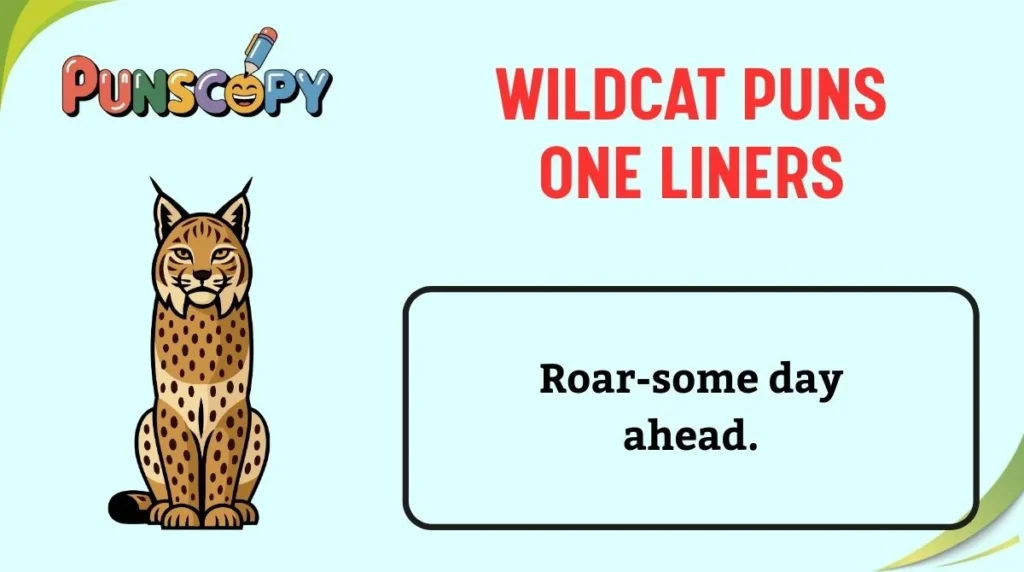 Wildcat Puns One Liners