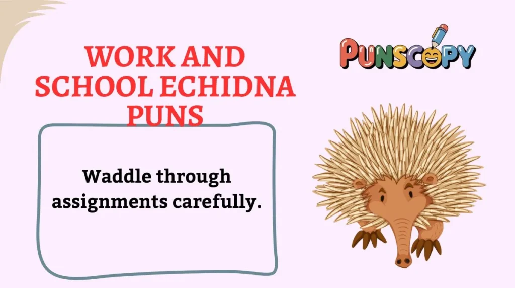 Work and School Echidna Puns