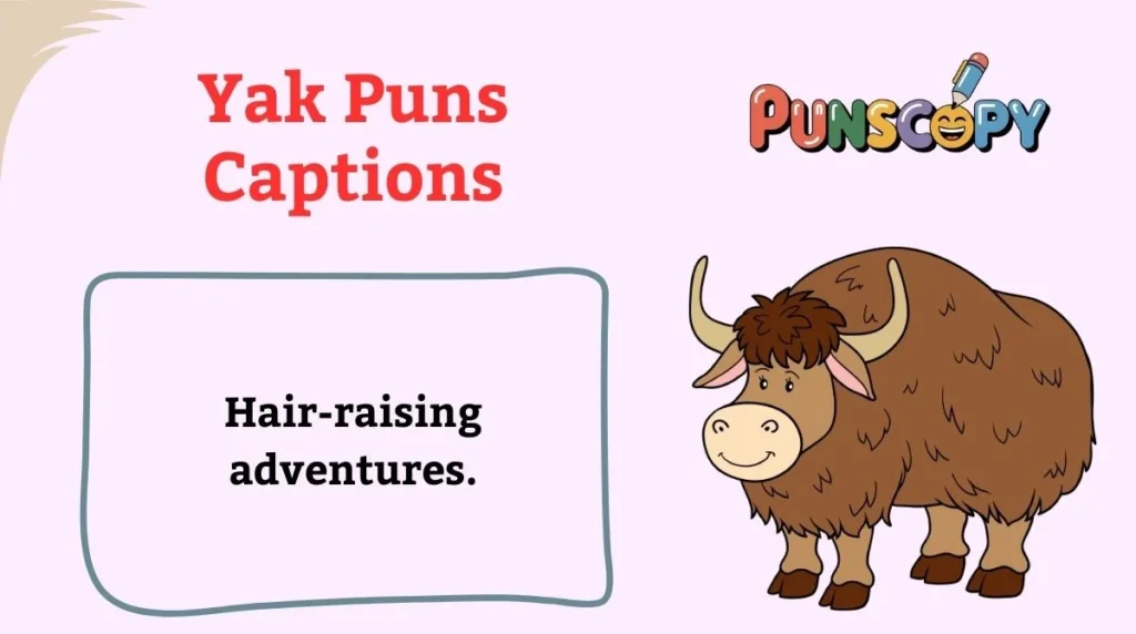 Yak Puns Captions