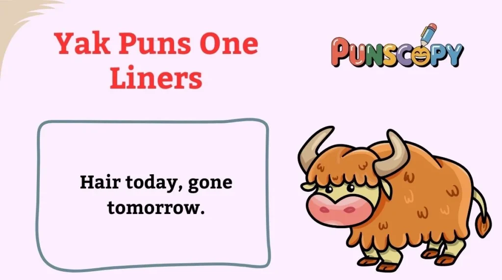 Yak Puns One Liners
