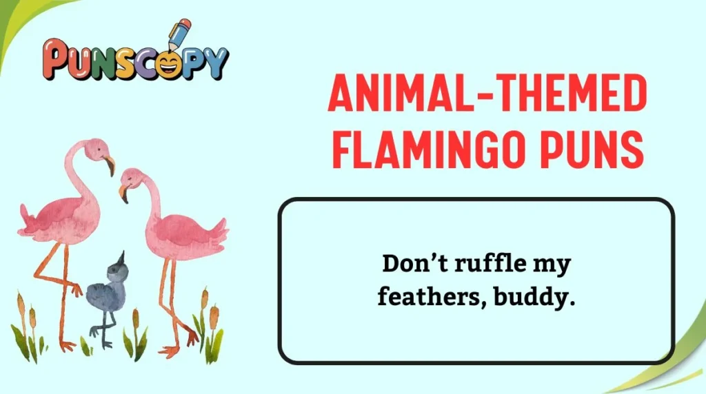 Animal-Themed Flamingo Puns