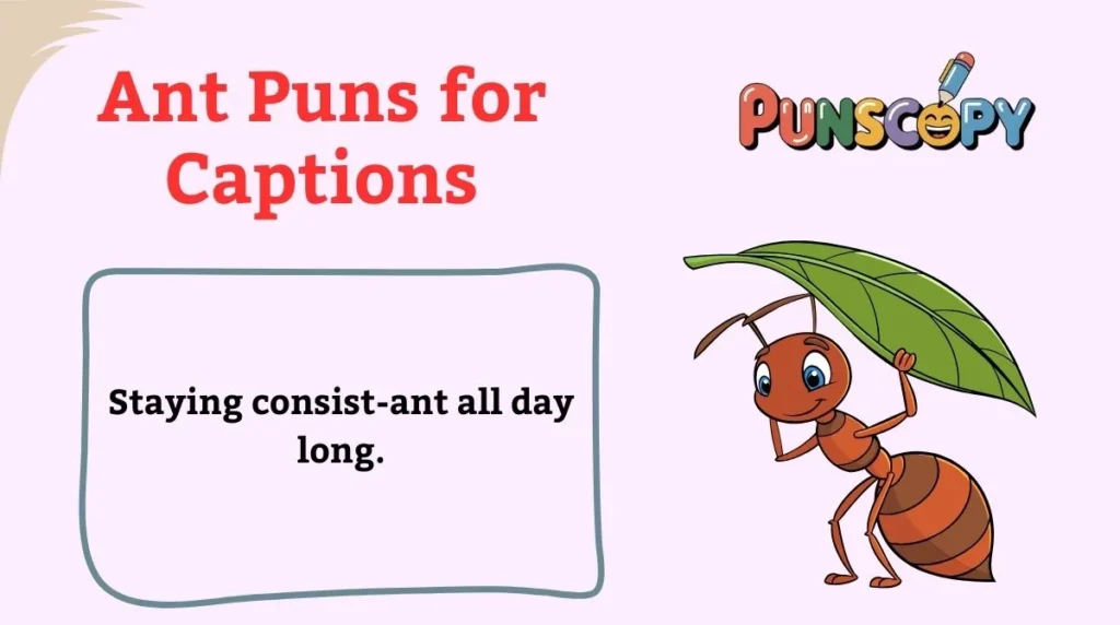 Ant Puns for Captions