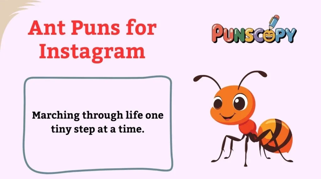 Ant Puns for Instagram