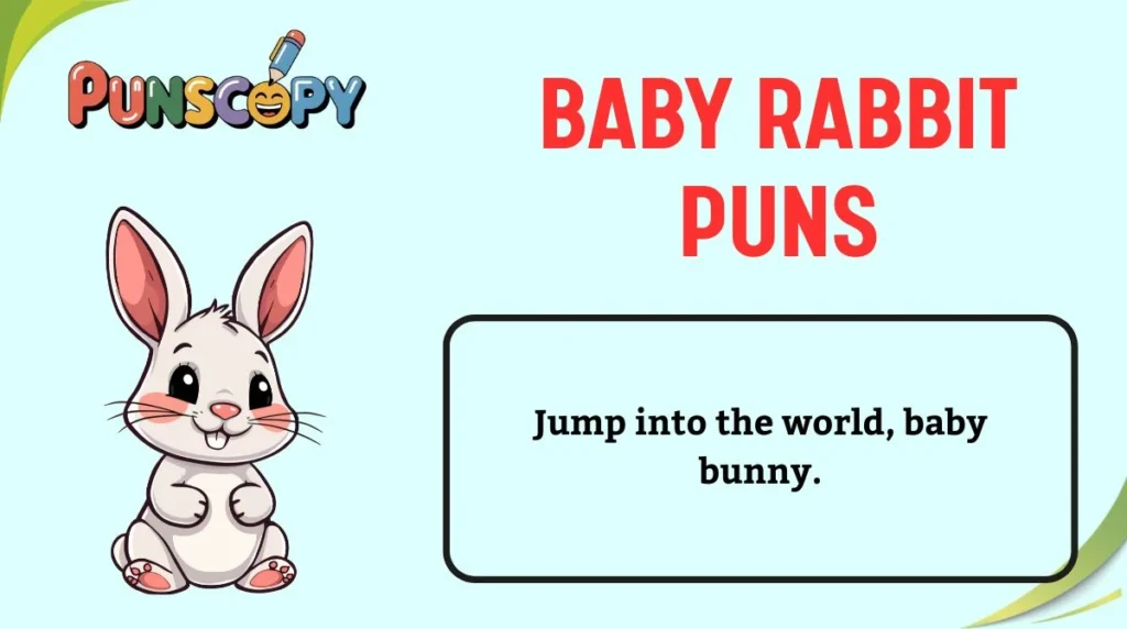 Baby Rabbit Puns
