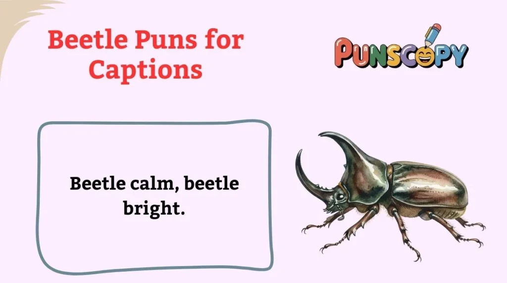 Beetle Puns for Captions