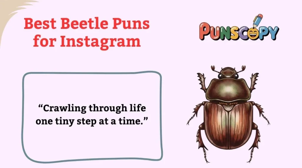 Best Beetle Puns for Instagram