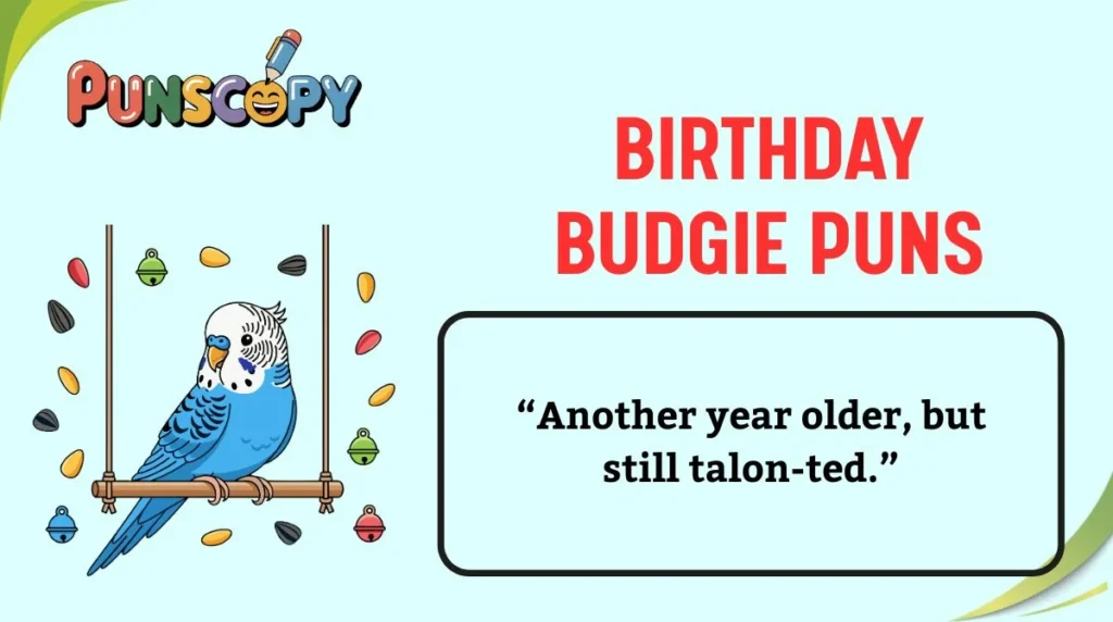 Birthday Budgie Puns