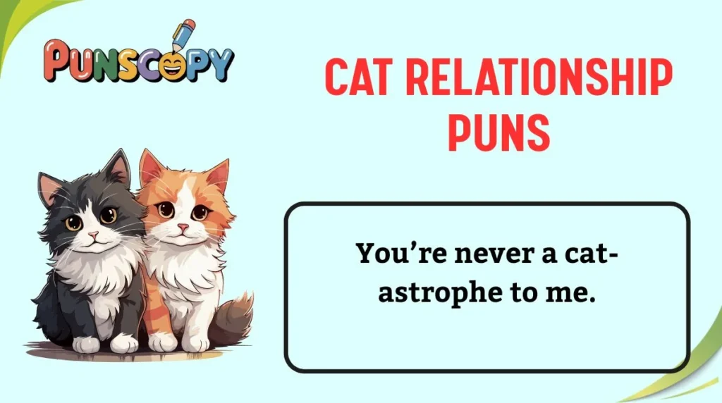 Cat Relationship Puns
