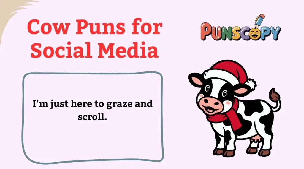 Cow Puns for Social Media