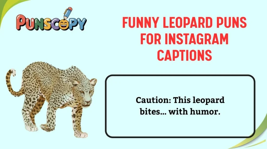 Funny Leopard Puns for Instagram Captions