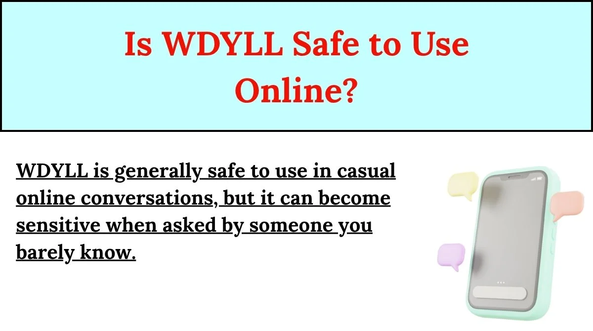 Is WDYLL Safe to Use Online?
