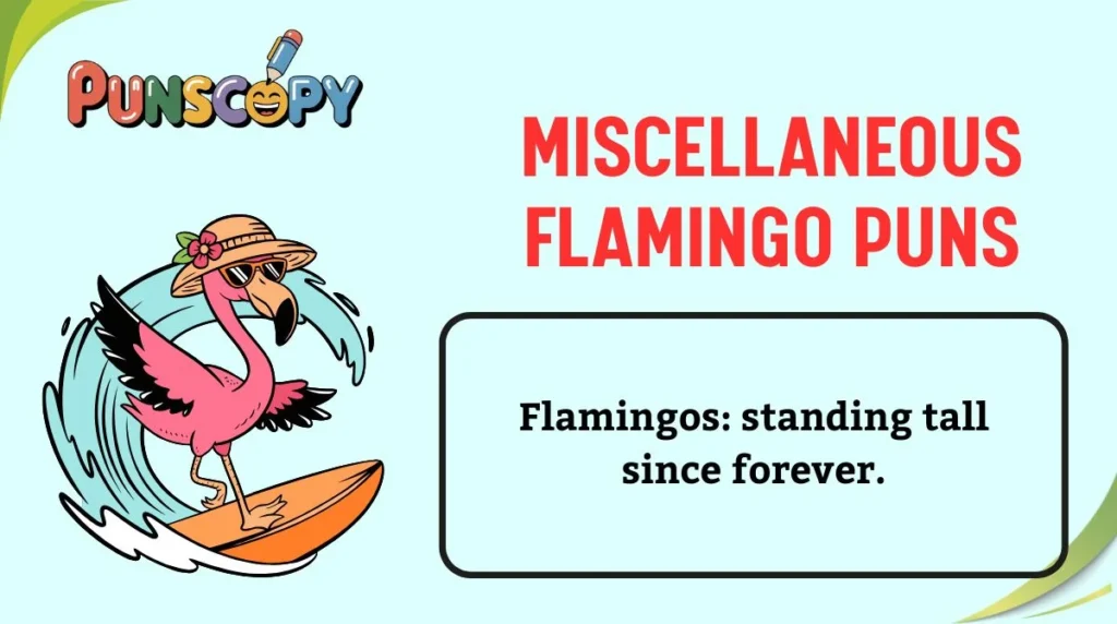 Miscellaneous Flamingo Puns