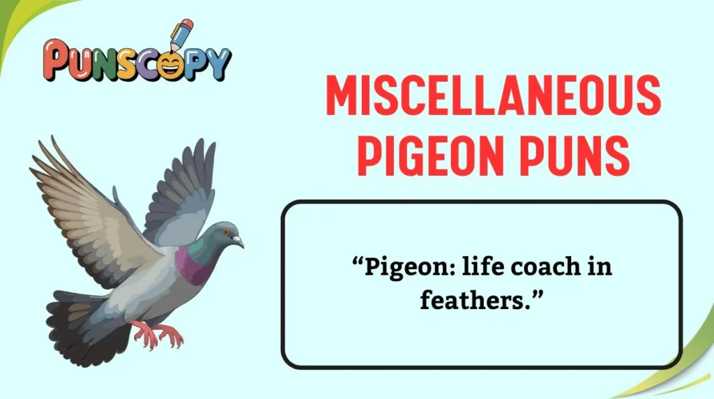 Miscellaneous Pigeon Puns