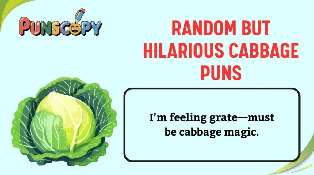 Random But Hilarious Cabbage Puns
