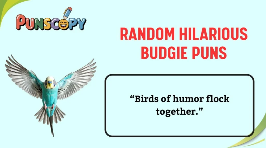 Random Hilarious Budgie Puns