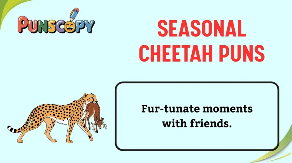 Seasonal Cheetah Puns