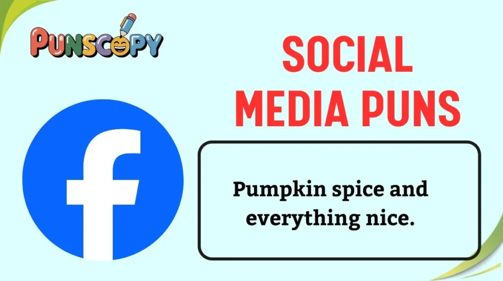 Social Media Puns