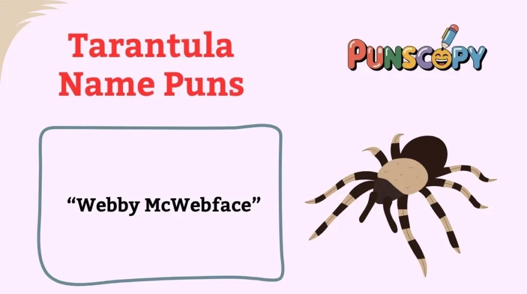 Tarantula Name Puns