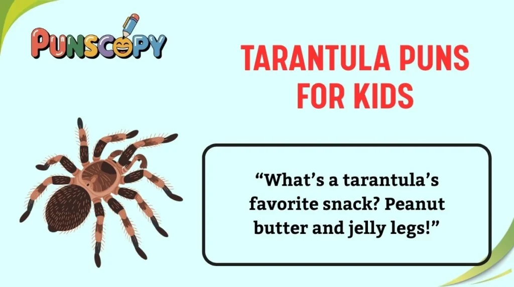 Tarantula Puns for Kids