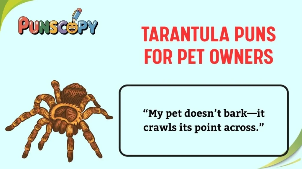 Tarantula Puns for Pet Owners