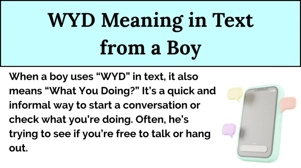 WYD Meaning in Text from a Boy