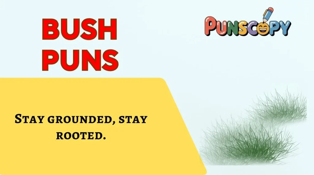 Bush Puns