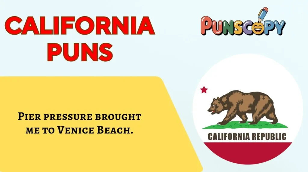 California Puns