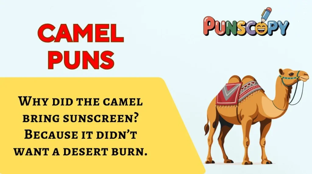 Camel Puns