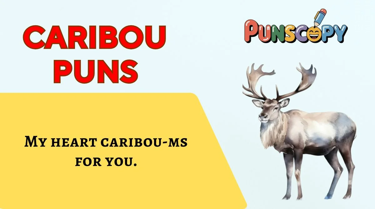 Caribou Puns