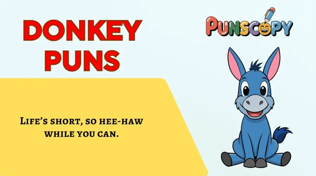 Donkey Puns