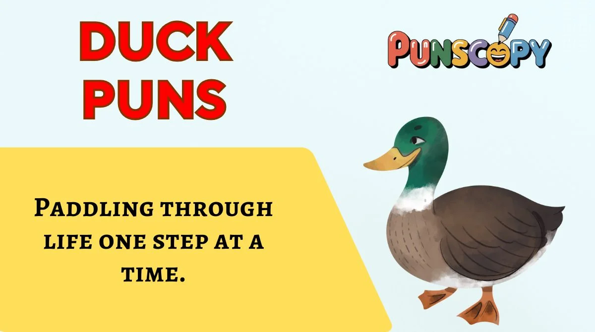 Duck Puns