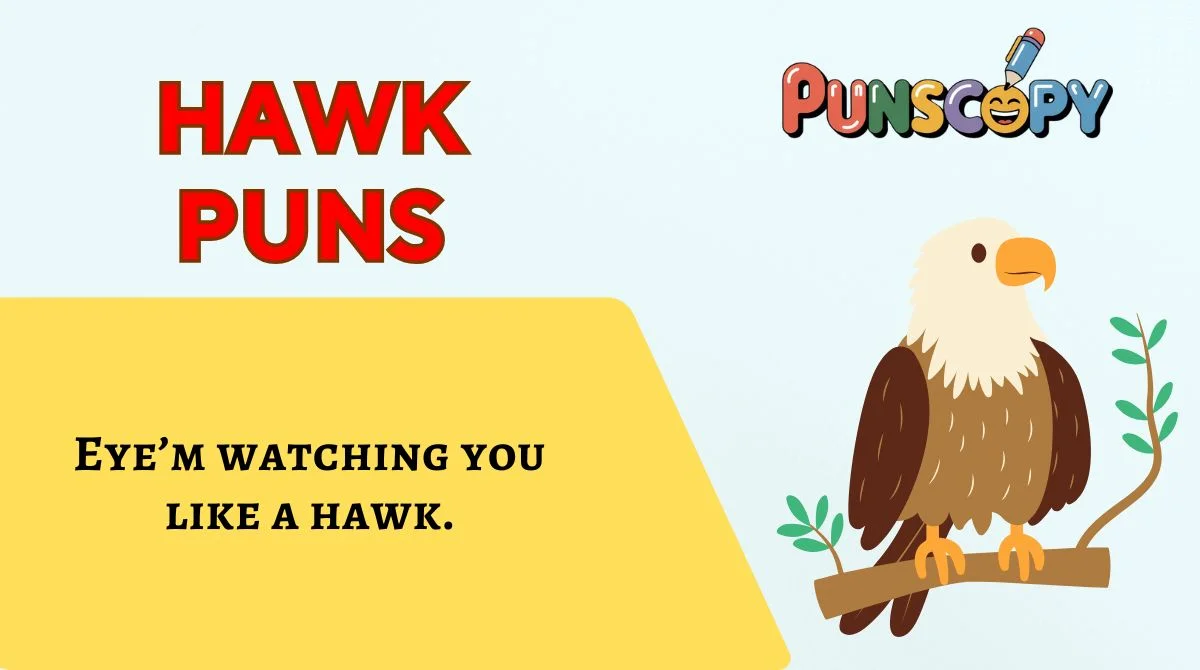 Hawk Puns