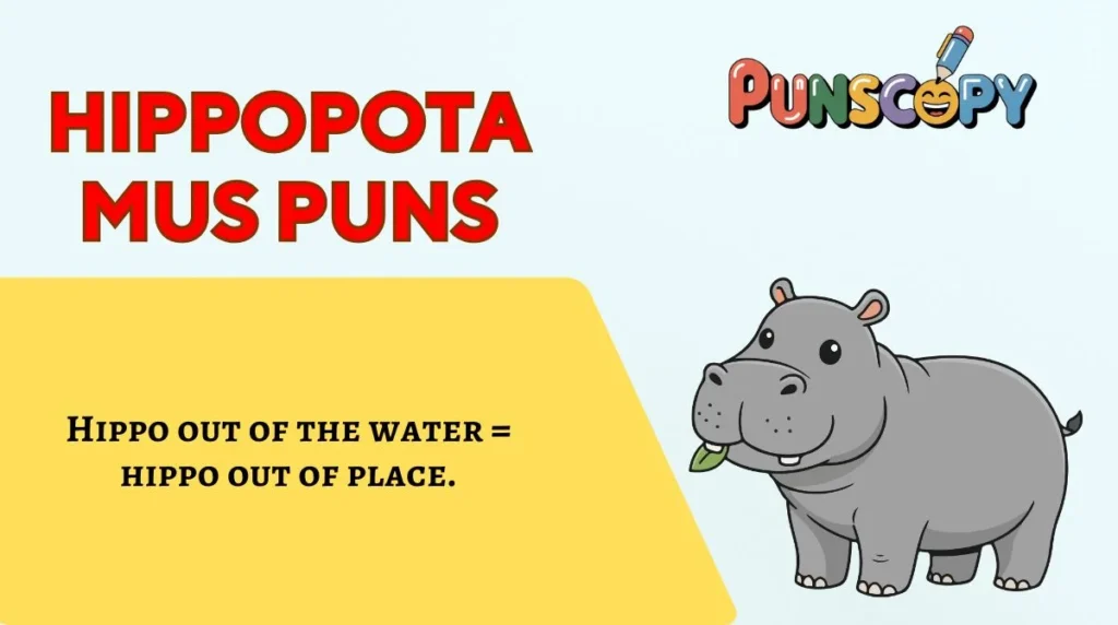 Hippopotamus Puns