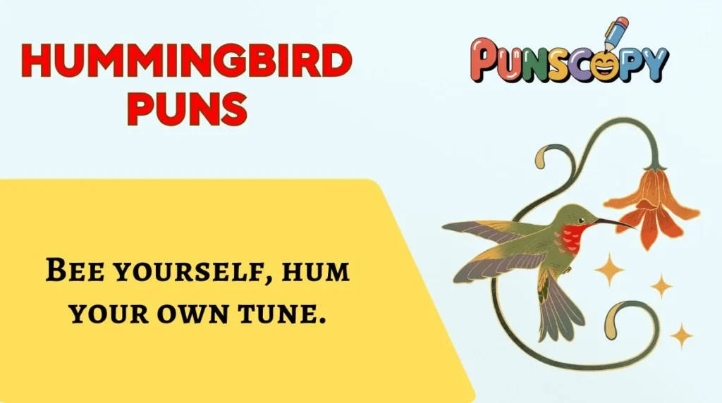Hummingbird Puns