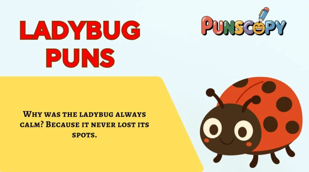 Ladybug Puns