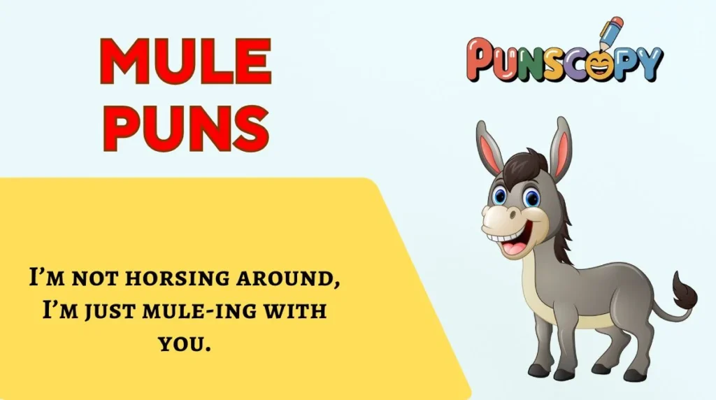 Mule Puns