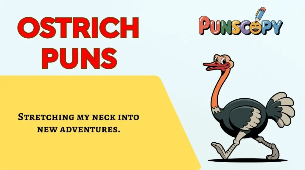 Ostrich Puns