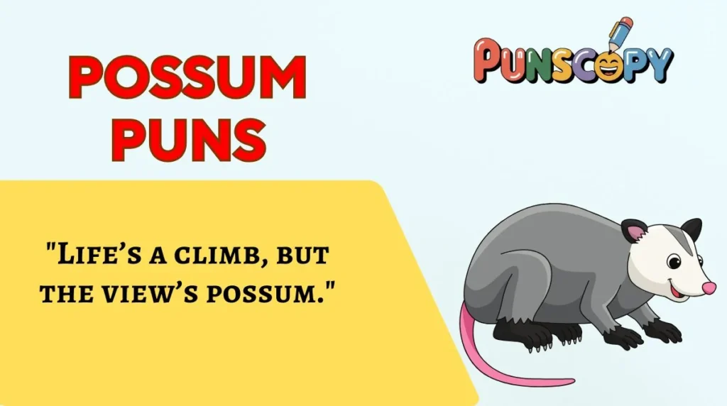 Possum Puns
