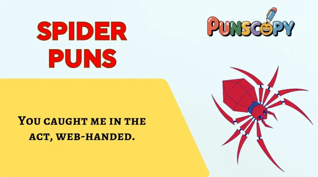Spider Puns