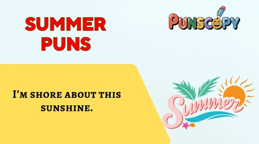Summer Puns