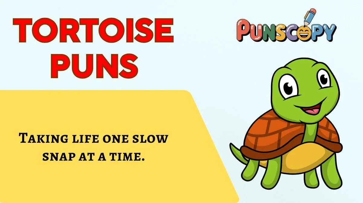 Tortoise Puns