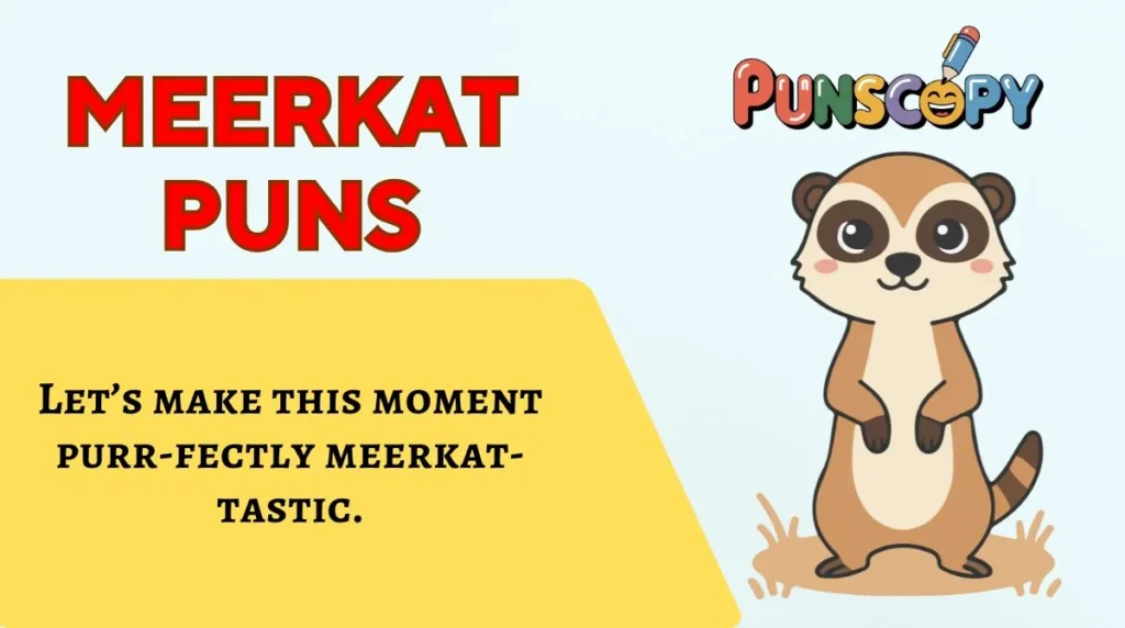 Meerkat Puns